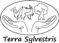 Terra Sylvestris non govermental organization logo